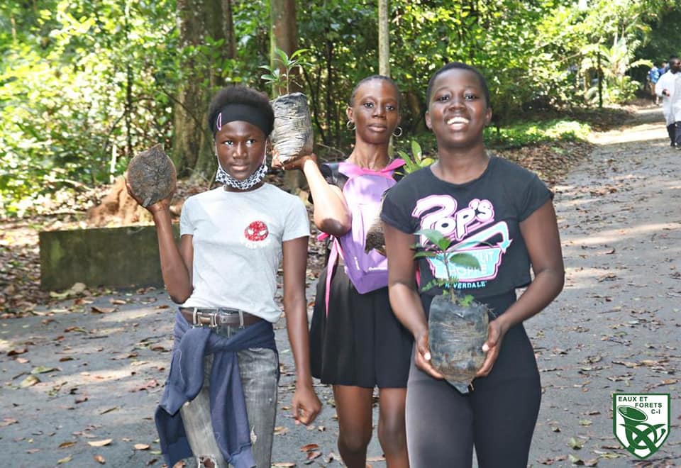 zapping_ci's tweet photo. #cotedivoire : Planting de 1.600 plants au Centre National de Floristique d'Abidja organisé par Min Eaux et Forêts

 #Afrique #CIV225 #ivoirien #Abidjan #developpement #environnement #ecosysteme #minef #eauxetforetsci #50millionsdarbresci https://t.co/5gko88QXgv