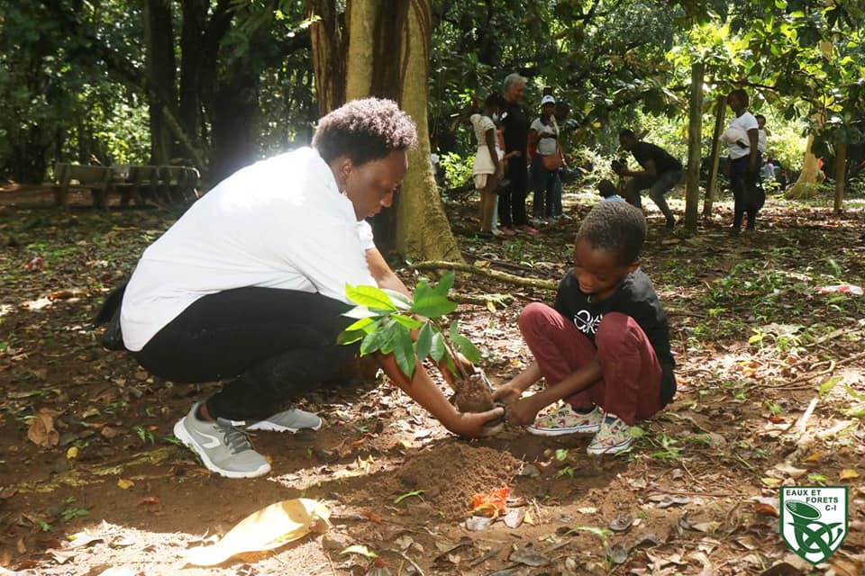 zapping_ci's tweet photo. #cotedivoire : Planting de 1.600 plants au Centre National de Floristique d'Abidja organisé par Min Eaux et Forêts

 #Afrique #CIV225 #ivoirien #Abidjan #developpement #environnement #ecosysteme #minef #eauxetforetsci #50millionsdarbresci https://t.co/5gko88QXgv