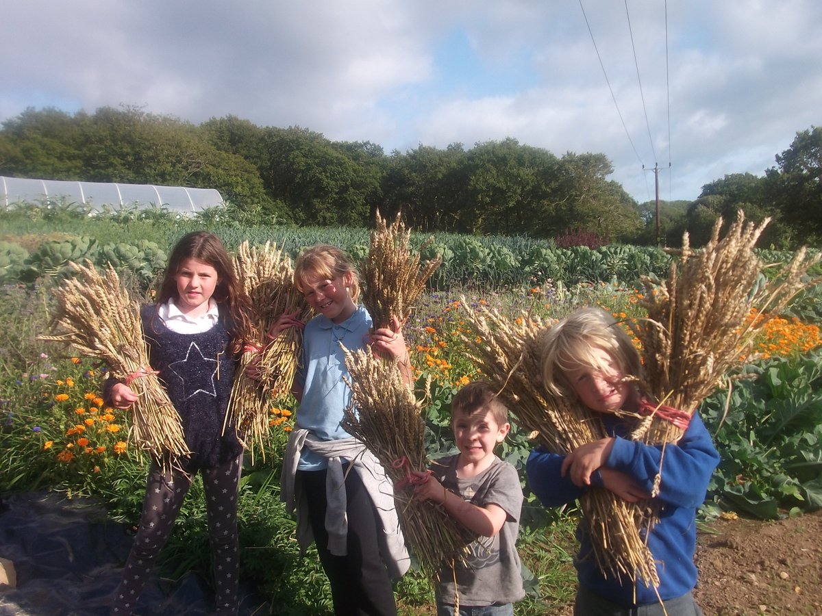 CSANetwork's tweet photo. 4. CSAs connection of people to land increases awareness of the reasons why we should eat #locally produced #seasonal food #CSA  #COP26 #farmengagement #AgroecologyCoolsTheEarth @CaeCsa https://t.co/xxTrxE4JL1