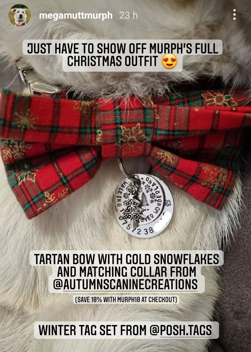 poshtags's tweet photo. https://t.co/uvWKJ0qbG0
.
#Christmas2021 #Christmasgifts #christmasoutfit #bowtie #pettag #dogtag #mydog #poshdog #poshtags #handmade #handmadwithlove #WinterWonderland #walkinginawinterwonderland #festive #feelingchristmassy #gift #dogbowtie #tartan #snowflake https://t.co/rruInKe7jk