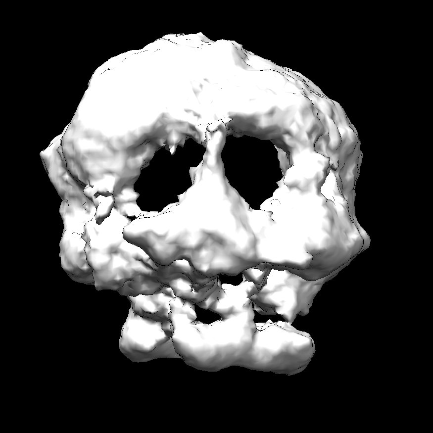 HangryHobbit's tweet photo. How's your #cryoEM reconstruction going? 💀 https://t.co/1WVGGGPNcz