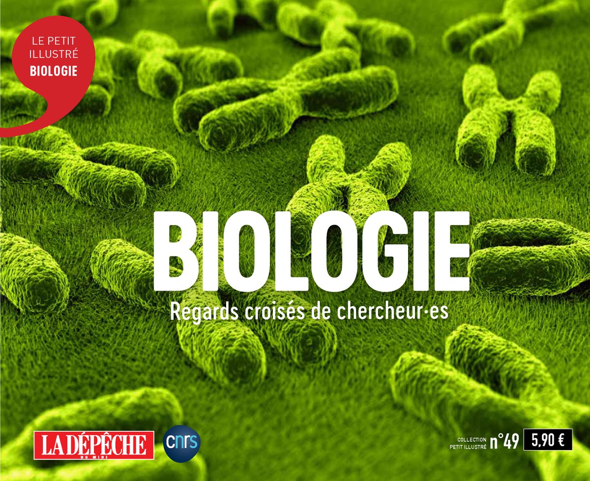 CNRS_Toulouse's tweet photo. [Ouvrage de #science] Petit Illustré biologie, 44 articles accessibles au plus grand nombre rédigés par des contributeurs et contributrices, scientifiques des laboratoires @CNRS de la région, pour faire le point sur cette discipline. Disponible sur demande
https://t.co/5L1ZcGoaEI https://t.co/8QR1KfPfvi