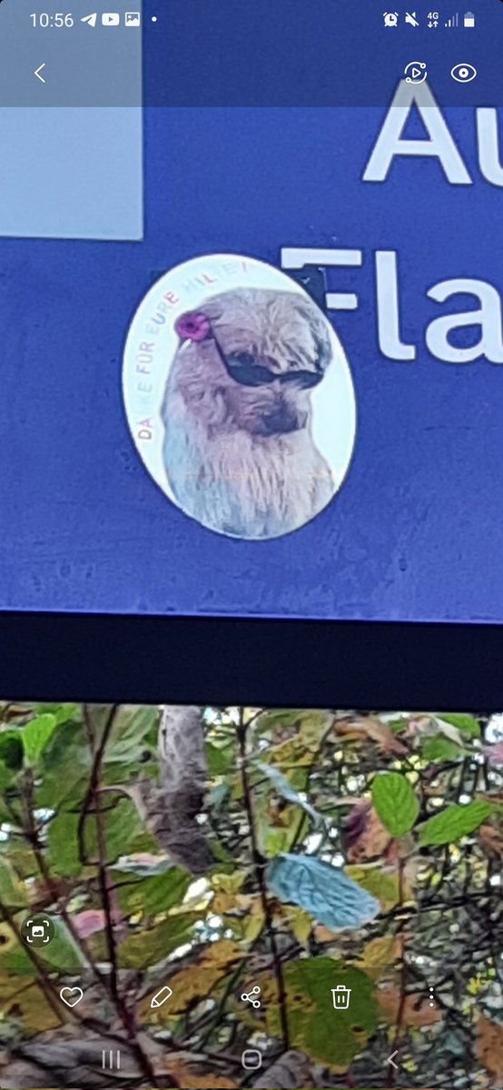 1x2g45d's tweet image. Dank geht zurück🥰💪

Bei mir im Viertel übelst viele Nazis Sticker. Neben mir noch mind. eine weitere Person am Entgegenwirken. 

Jetzt dieser cute Sticker😍

#StickerWars #nonazisdo