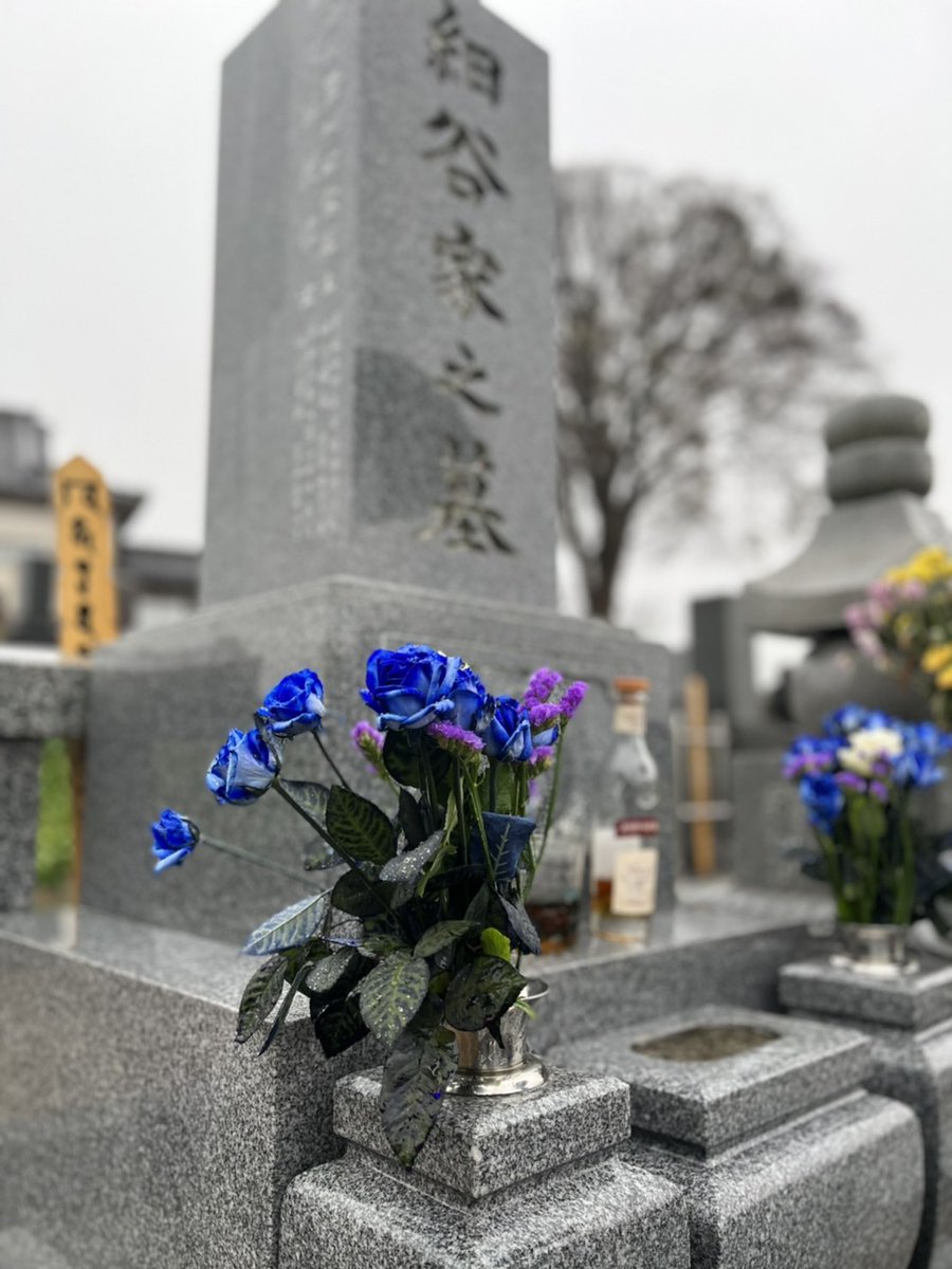 st__666's tweet photo. 於菟也の墓参り。
供花に棘のある花は避けるべきだし、何より於菟也に薔薇は似合わない。
だから敢えてそうする。
「ダメ絶対」と言われることしかしてこなかった奴にはお似合いだろう。
#青い薔薇
#於菟也
#666CONNECTION https://t.co/BFEkZM6761