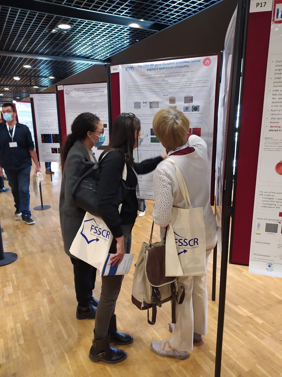 Vision_INM's tweet photo. We are very excited to start the @FSSCR_officiel 4th Annual Meeting in Montpellier

It will be a very interesting congress about stem cells research!

#retinalorganoids #retinaldisorders #retina #stemcells #visionINM https://t.co/mAOZbGidxL