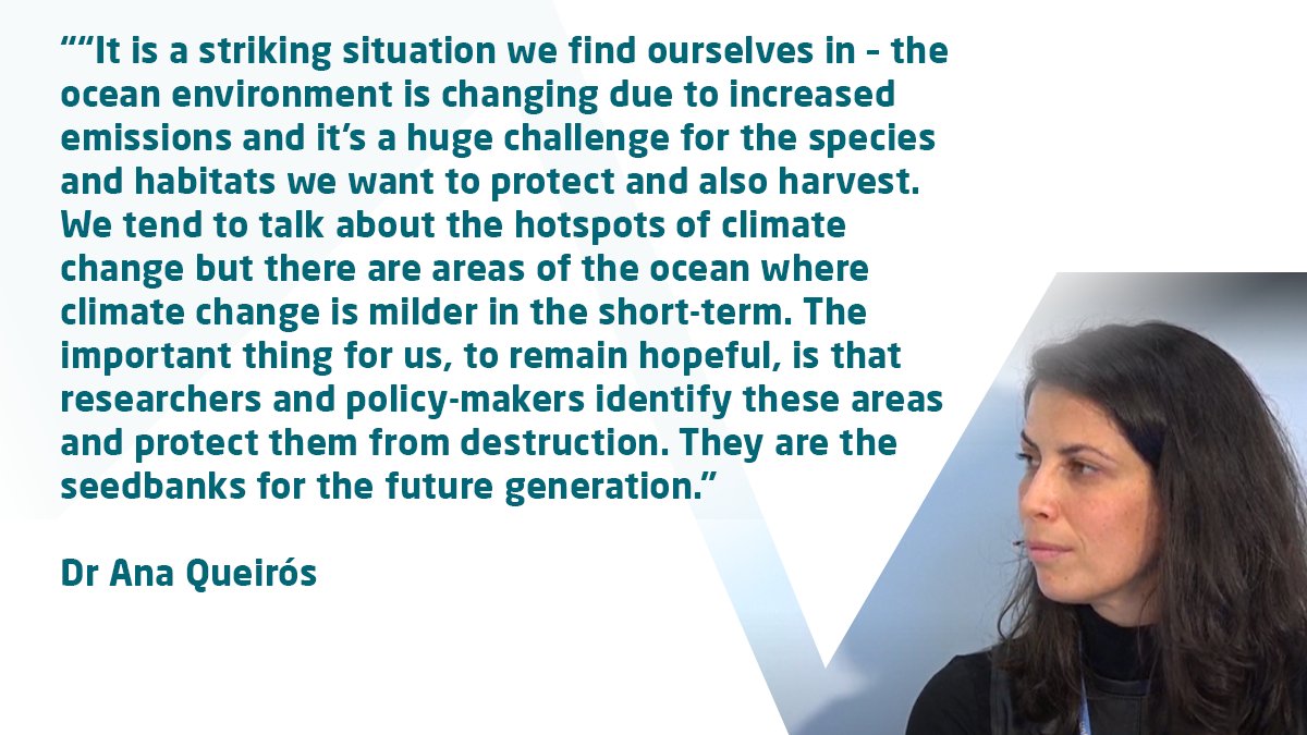 PlymouthMarine's tweet photo. "Are you depressed (about #OceanAcidification)?' @RemiParmentier asks PML's @DrAnaQueiros during this morning's EU Ocean Day session @COP26, hosted by @VSinkevicius #PMLatCOP26 @EBCD_bxl #oceans #climate #SDG13 #climatechange https://t.co/Lnh1ZlNovf