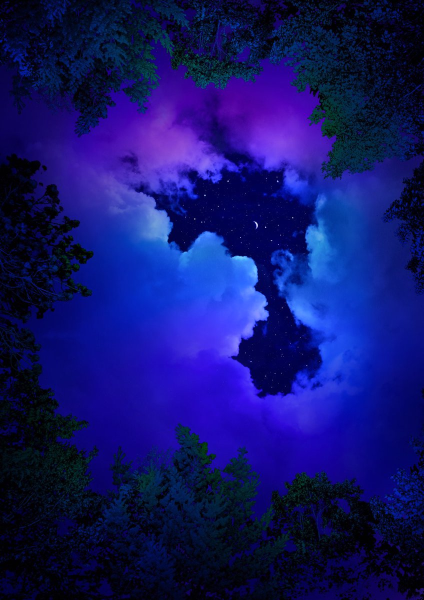 ephemeral 🌿 #gn8 #forest #nights #moon #artwork #NFTCommunity #photoshop #photography