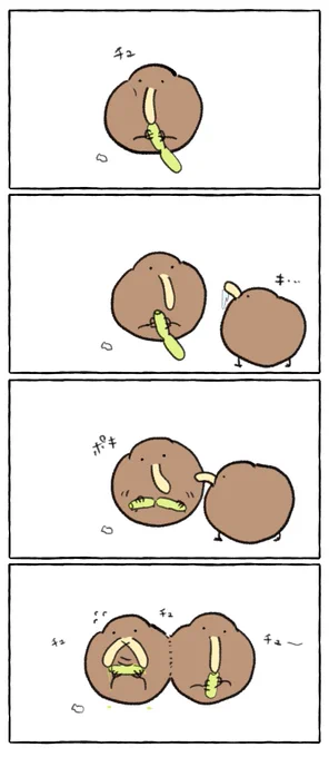 チューペットを分け合う小キーウィ 