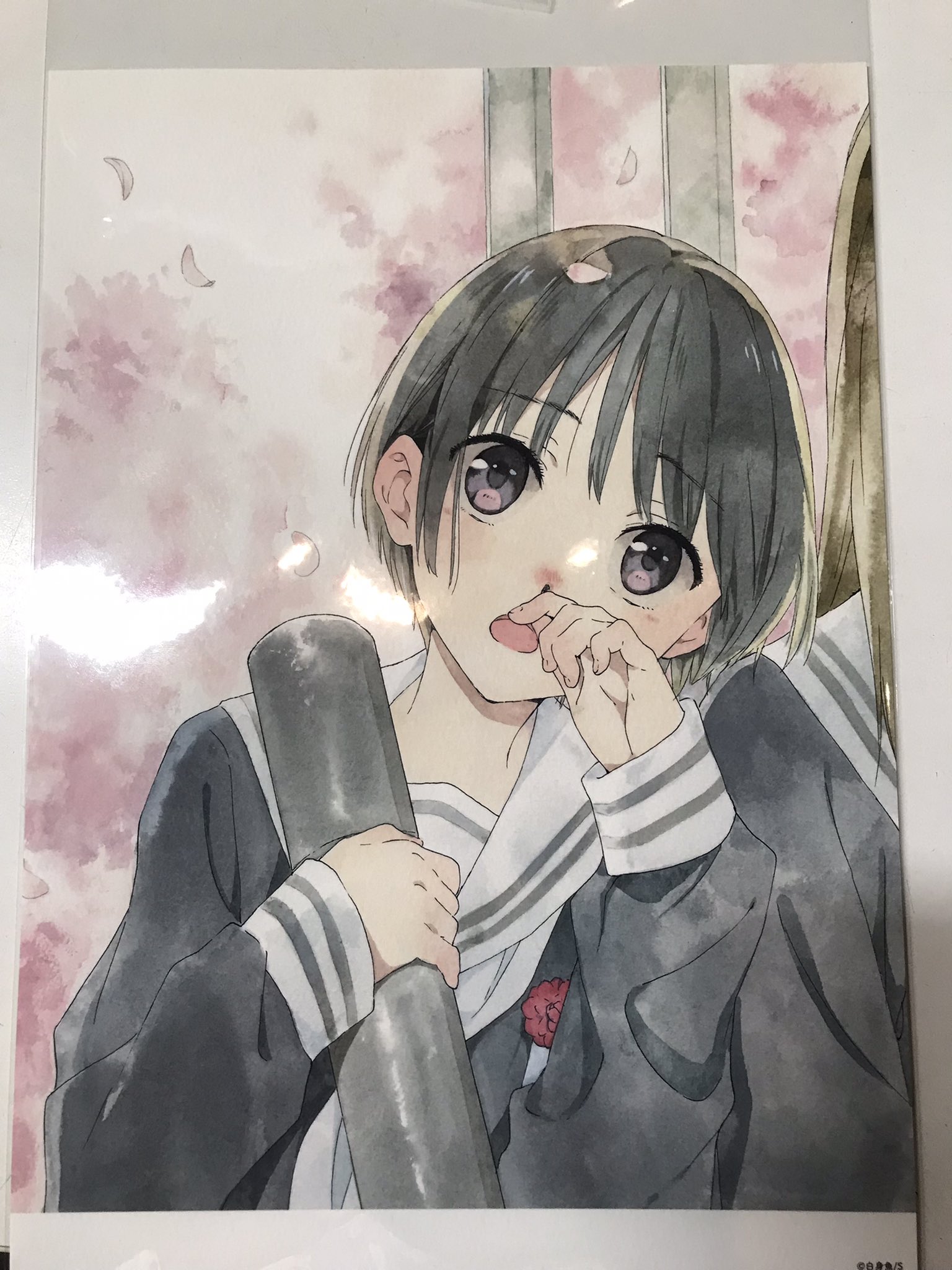 Tokyo Atom 白身魚イラスト展pop Up Shop アートカード 卒業 クリアファイル 桜と駅 品切れました 再入荷は未定となっております 新しい情報はこちらのアカウントにて随時お知らせ致します 白身魚イラスト展 Galleryedition Tokyoatom