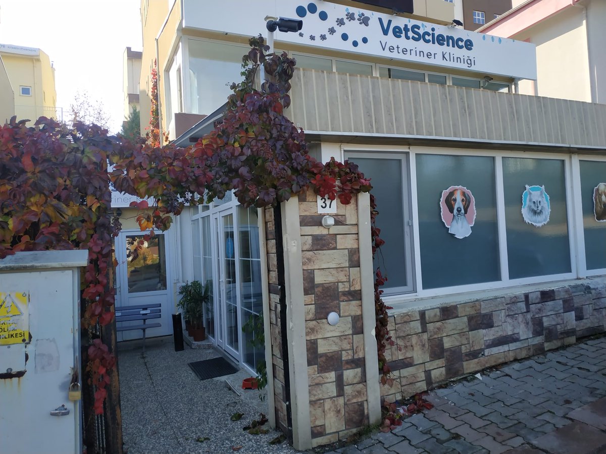 VetscienceC's tweet photo. Ön ve arka bahçemizde sonbahar 🍁🍂🌾⛅️🥰 https://t.co/RxvYLiYmLq