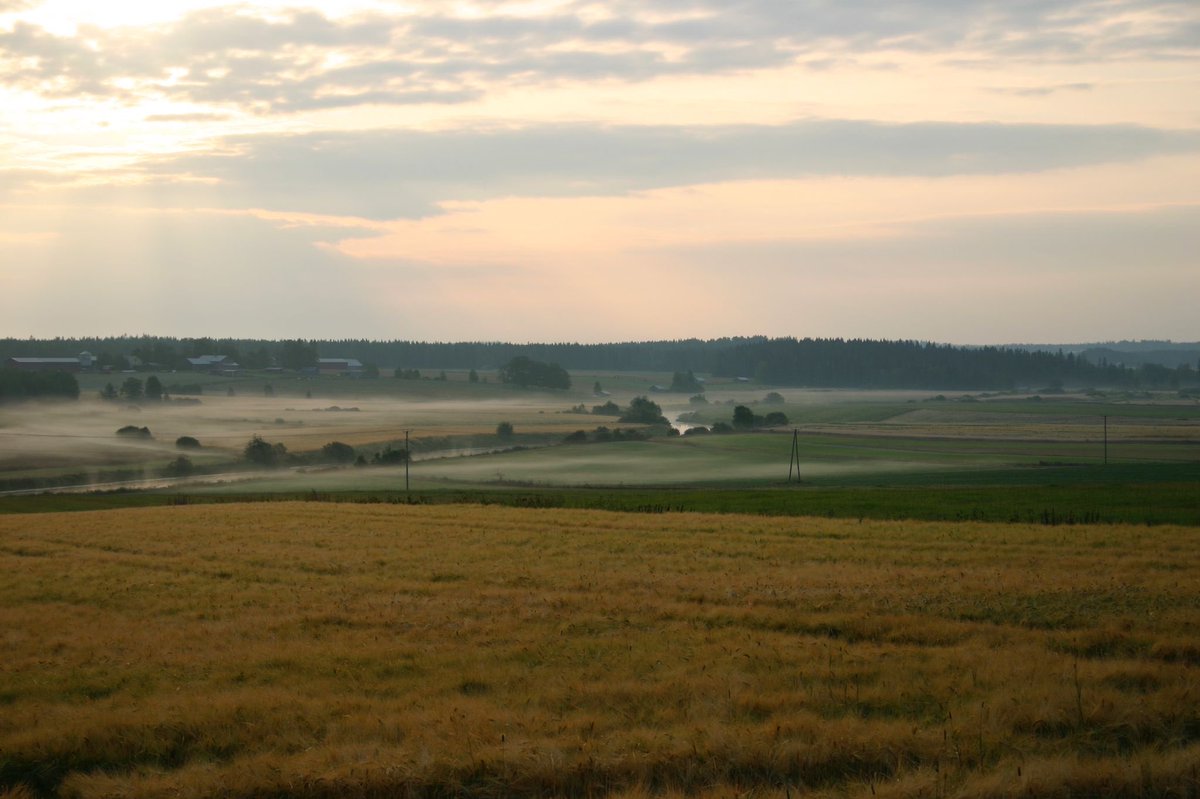 #Elisa5G has expanded to Toholampi and Kannus and the network is now available in 137 municipalities in Finland. During 2021, we have opened 5G in over 70 municipalities and also expanded the existing network significantly.