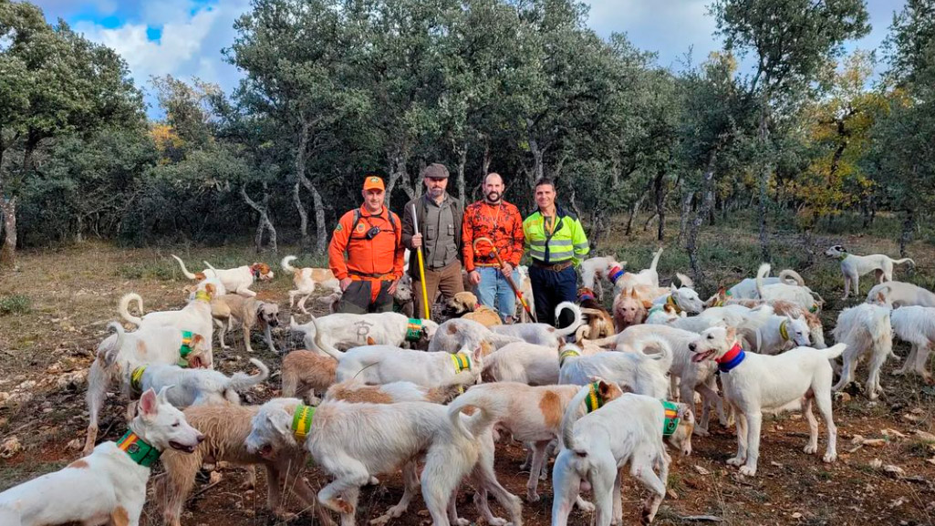 Santiago Abascal acude a una montería este domingo junto a unos rehaleros bit.ly/3mYp38h | decaza.net