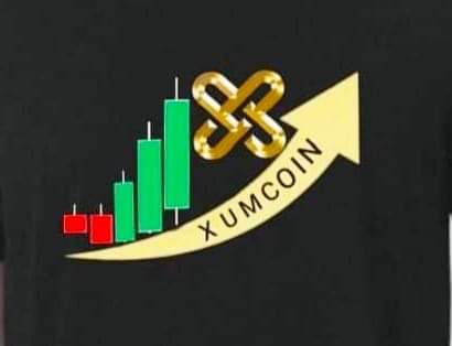 Debz_crypto's tweet photo. @XUMOfficial #xumcoin
#xumwallet
#xumexx
#xumchainblockhain https://t.co/noMQhMQzvC