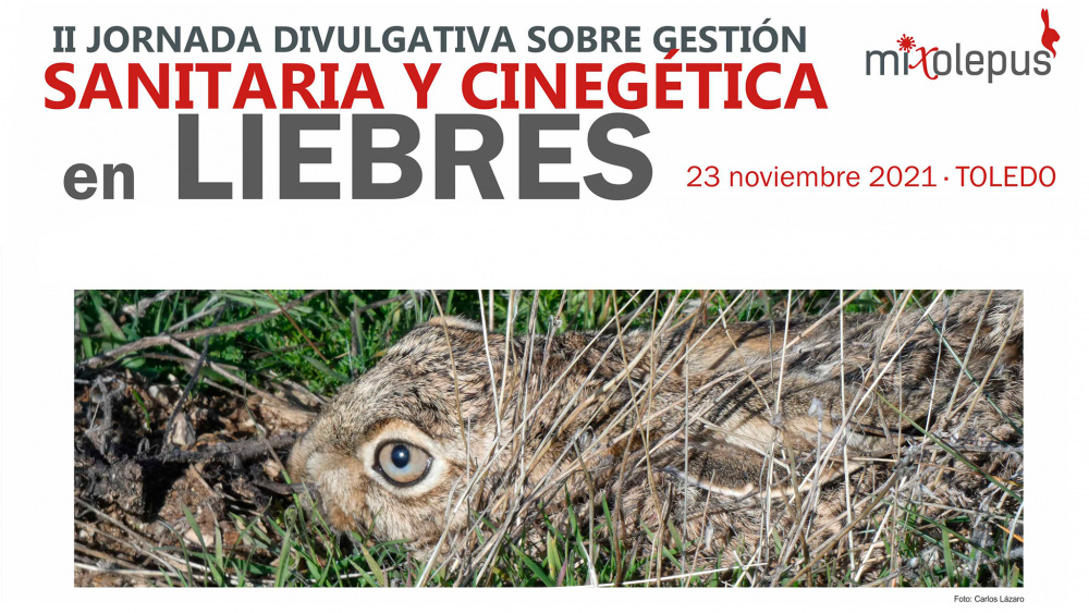 Todos los avances en la situación de la mixomatosis en nuestras liebres bit.ly/30eOBph | decaza.net