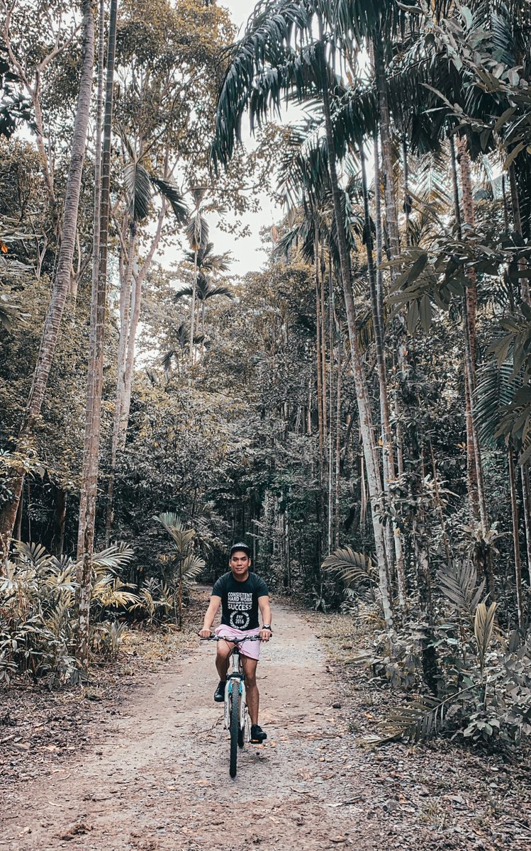 Pogs001's tweet photo. “Bikes bring you to places that cars never see”. 🚲💙
#bikenation #burnfatnotfuel #pogswanders #pilipinas https://t.co/8Oyyb6p4T8