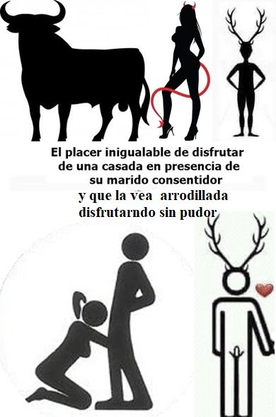 Cornudo Victor tweet media