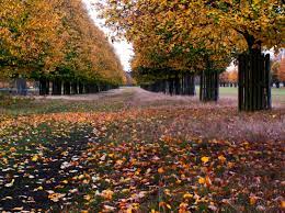 TheMarisPractic's tweet image. Physical activity has been shown to have a positive impact on mood. You feel more content, awake &amp;amp; calmer after being physically active compared to periods of inactivity. Also the effect of physical activity on your mood is greatest when mood was initially low #ExercisefortheMind