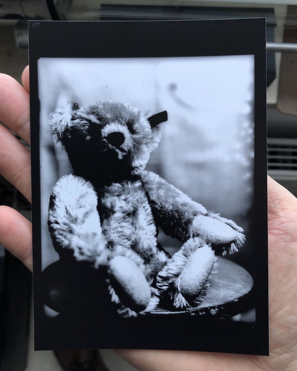 MartinNienberg's tweet photo. Contact print from my first selfmade dry plate. #analog #dryplate https://t.co/a09xYhBPwj