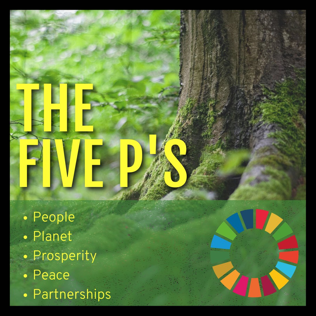 potential_co's tweet photo. The #fiveP's remind us that the SDGs are an intertwined framework instead of a group of isolated goals. These areas are at the heart of the 2030 UN Agenda and are a great way to measure progress. https://t.co/ChdXwIxUWh