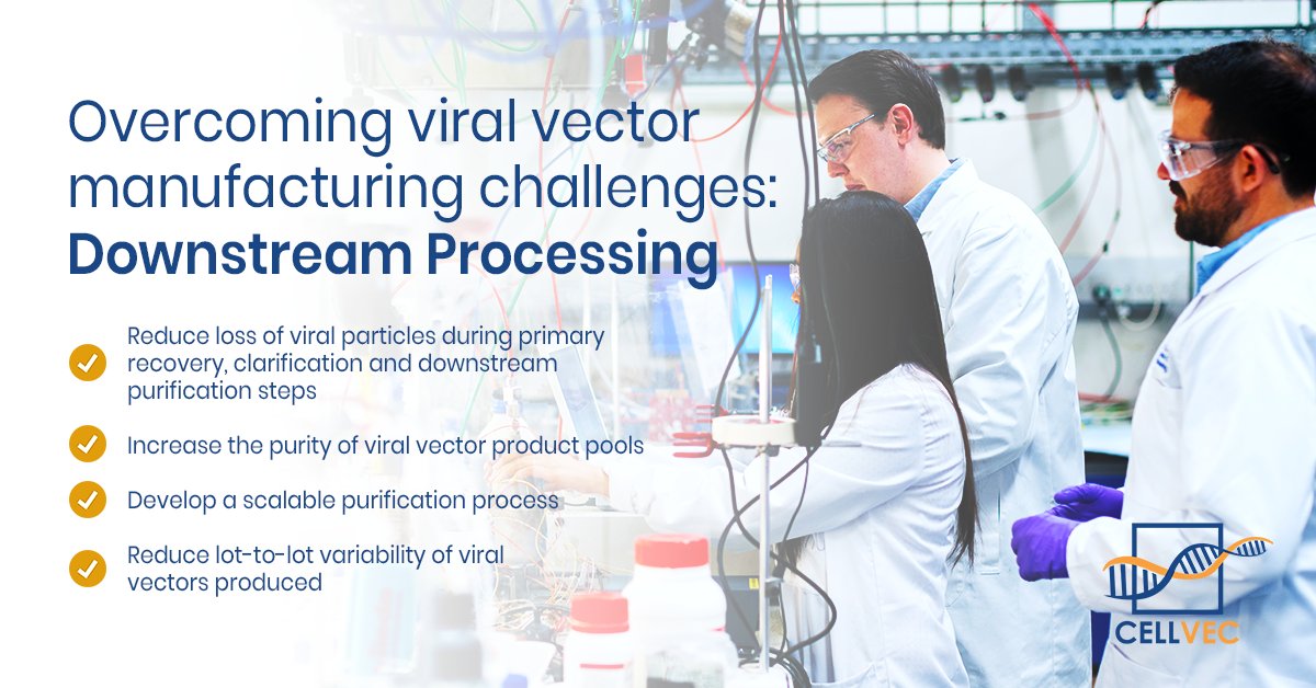 CellVecHQ's tweet photo. At #CellVec, we address these key #viralvector #downstreamprocessing challenges. Our #GMP processes enable good yield and high potency in transducing primary T cells. Find out how we deliver quality yields at scale to meet your viral vector needs today. https://t.co/cOldL4hMqe