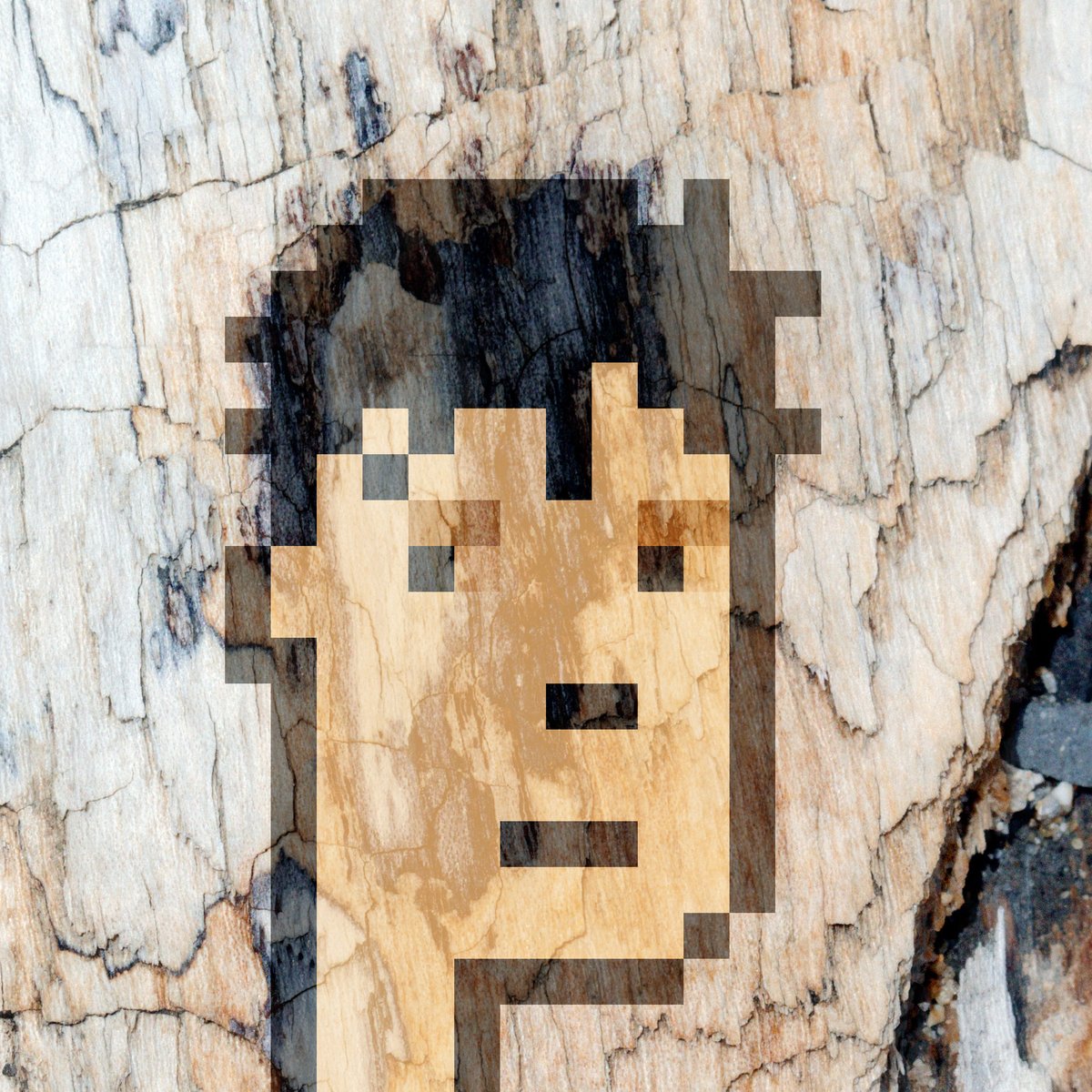 TexturePunks tweet media
