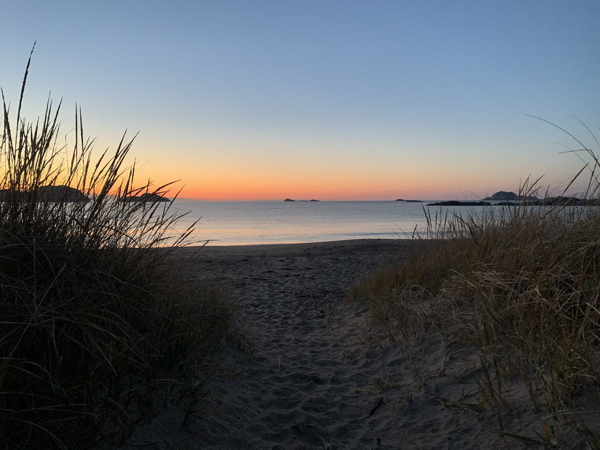 Newf1949's tweet photo. Beautiful morning on the beach! #sandbanks #parksnl #peaceful https://t.co/kgcSeO9ikU