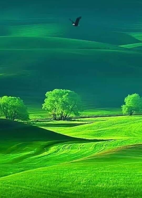 I just published Memoirs link.medium.com/l9t8VGwE2kb