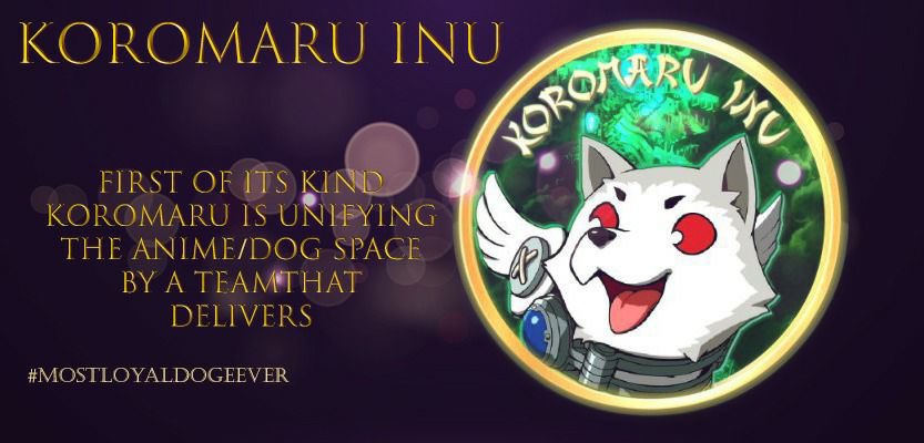 KoromaruInu's tweet photo. KOROMARU IS ONE OF A KIND ⚡️ https://t.co/PID3FWxQbB