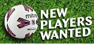 We are looking for experienced players to add to a youthful squad, if you’re interested please get in touch. <a href="/NRFLOfficial/">North Riding League</a>