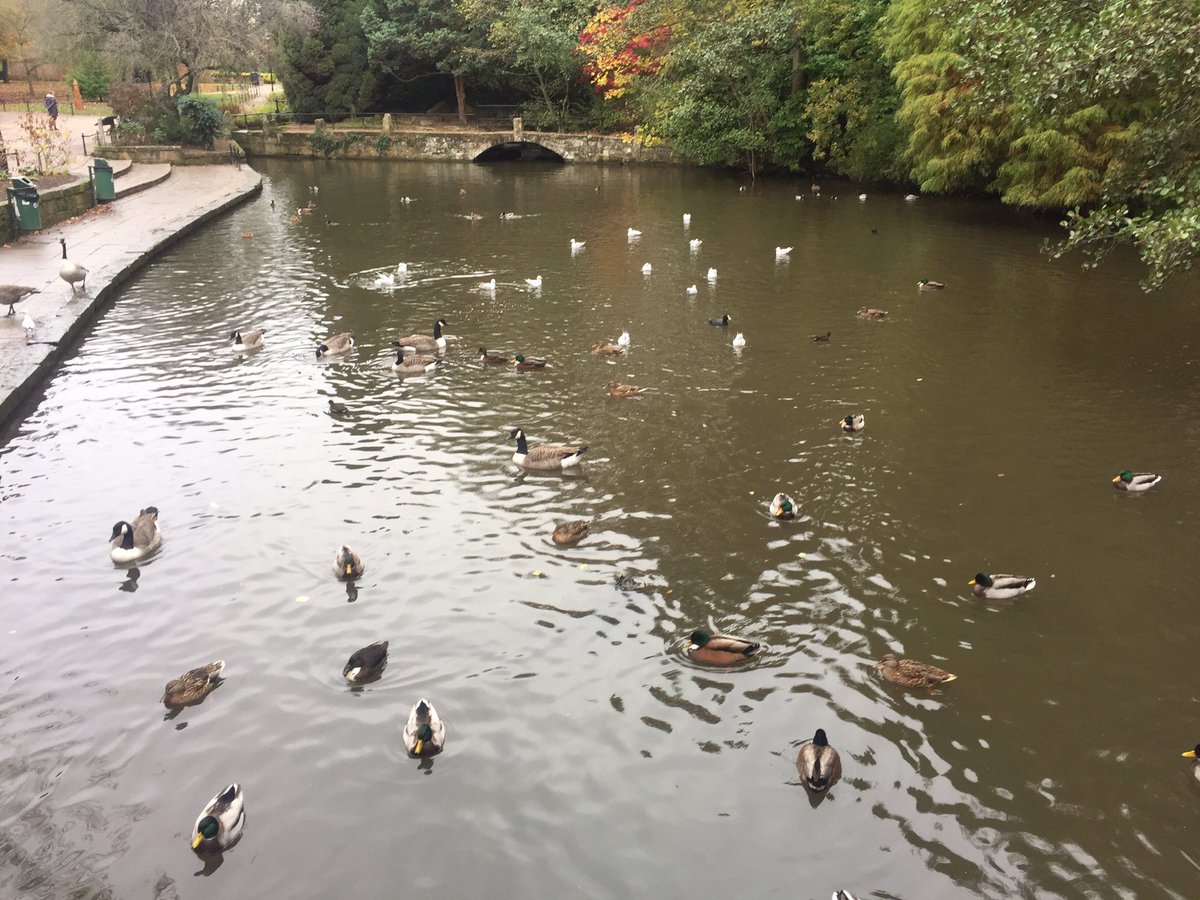 kayecunliffe's tweet photo. First walk Of the day x #derbyot https://t.co/4gUYwmA2bw