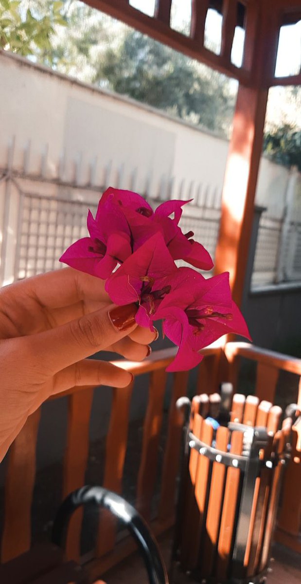 ozgeet01's tweet photo. Öğrencimden gelen en güzel çiçek 🌸 https://t.co/i1PlKItu3N