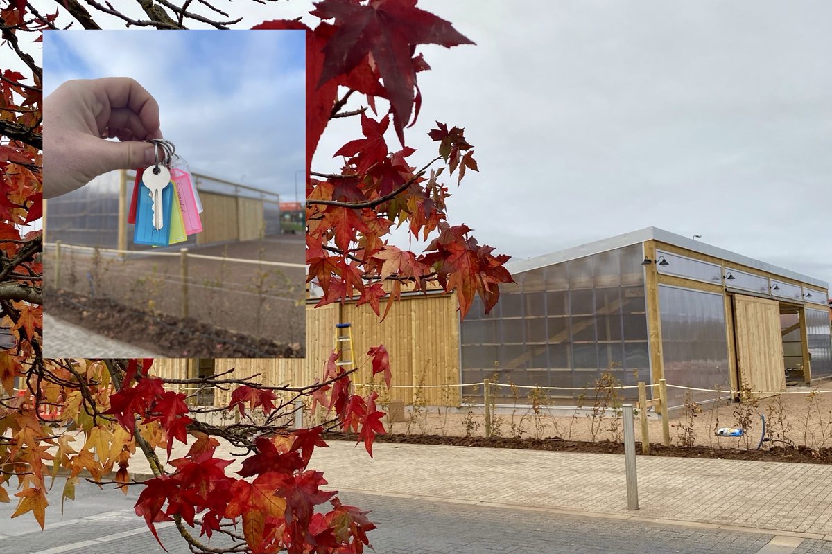 B31 Voices tweet media