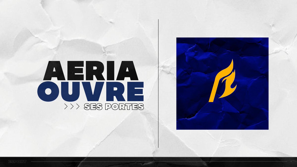 AeRia Esport tweet media