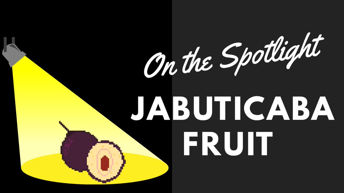 739art's tweet photo. Part of BTC Fruits 2.0 we have the Jabuticaba fruit.
Minting still open here 👉https://t.co/Q8lJzGa8V2
Origin: Brazil states of Minas Gerais, Goiás and São Paulo
Uses: The fruit can be eaten raw or used to make jellies, jams, juices, and wine. https://t.co/9eiNJ1l83f