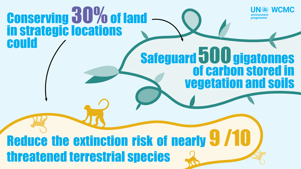 unepwcmc's tweet photo. Maximising synergies between #biodiversity conservation and #climatechange mitigation can help to meet the objectives of the #ParisAgreement.

The Strengthening Synergies report explains how ➡️ https://t.co/Cdx7l1616A

#COP26 @UNFCCC @UNBiodiversity https://t.co/kdYsNRB81S