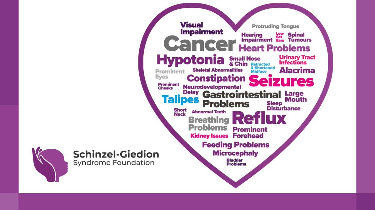 RARE Revolution Magazine (@rarerevolutionm) on Twitter photo Our children suffer from a range of symptoms depending on the exact mutation of the SETBP1 gene. Symptoms can range from severe to mild with those children diagnosed with the “typical” SGS having an average lifespan of just 18-48 months.
<a href="/foundation_sgs/">Schinzel-Giedion Syndrome Foundation</a>
#SGS
#Disabled Our children suffer from a range of symptoms depending on the exact mutation of the SETBP1 gene. Symptoms can range from severe to mild with those children diagnosed with the “typical” SGS having an average lifespan of just 18-48 months.
<a href="/foundation_sgs/">Schinzel-Giedion Syndrome Foundation</a>
#SGS
#Disabled