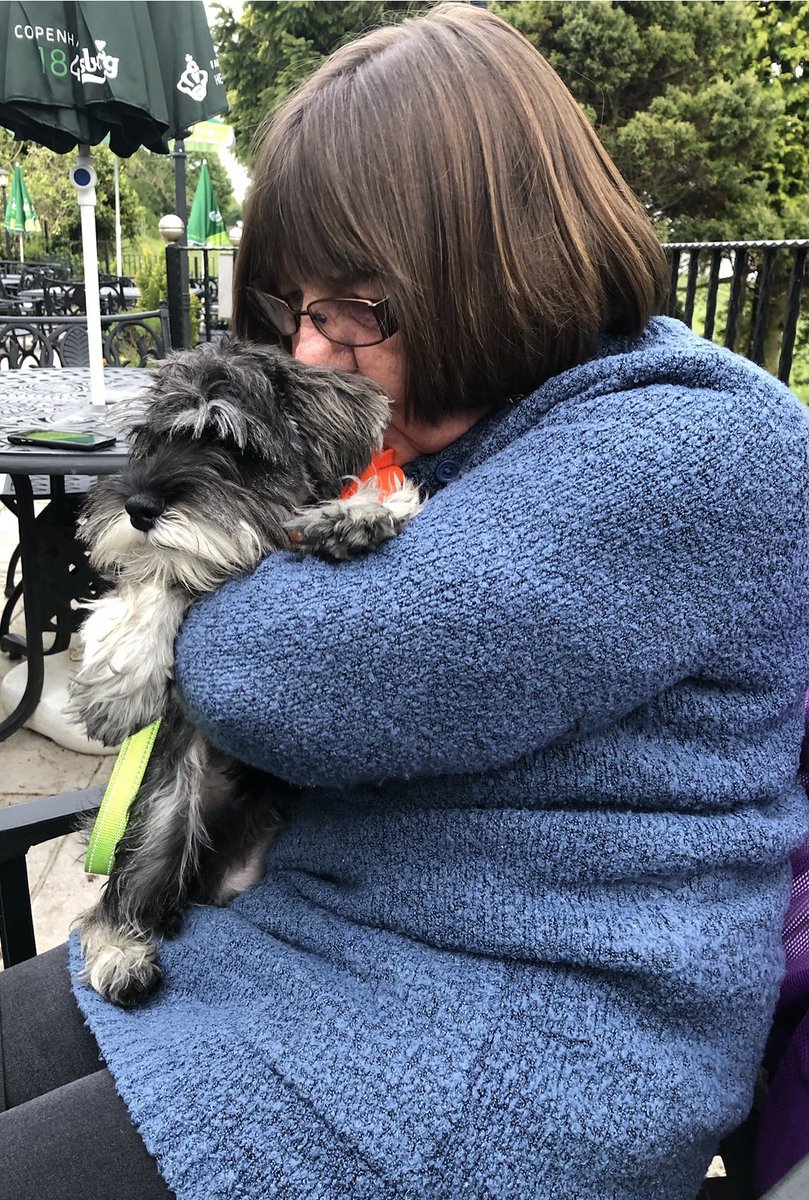 Coco & Skippy Mini Schnauzers tweet media