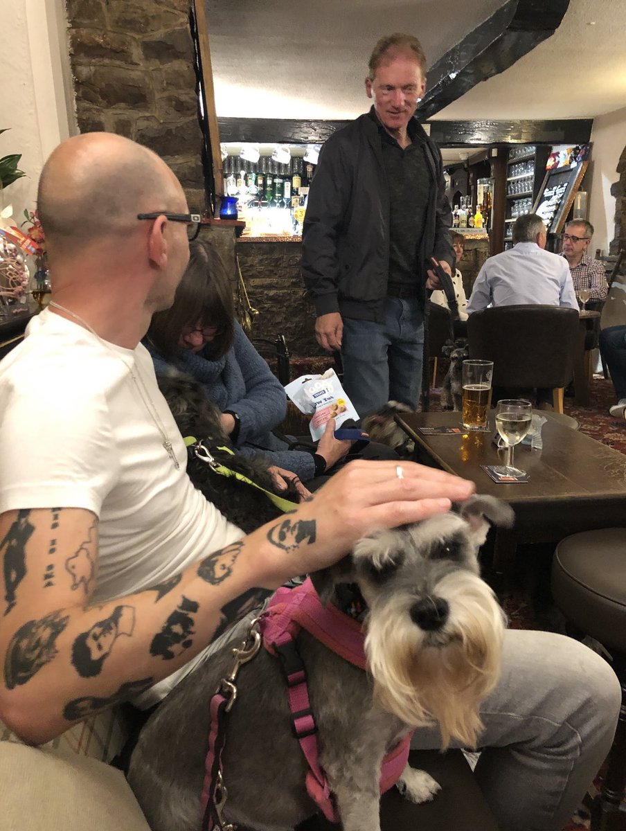 Coco & Skippy Mini Schnauzers tweet media