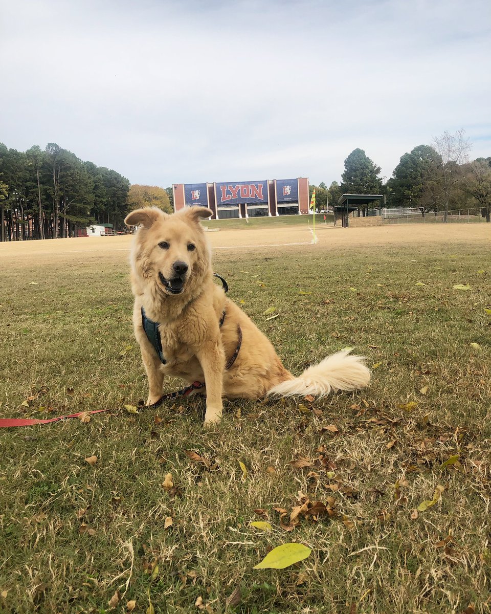 coach__kuhn's tweet photo. Teddy wishes the Lyon College men’s soccer team good luck today against CBC in the semi finals in the AMC tournament! ⚽️⚔️ @LyonScotsSoccer #gogetembrothers https://t.co/y7bzIsQ0Bb