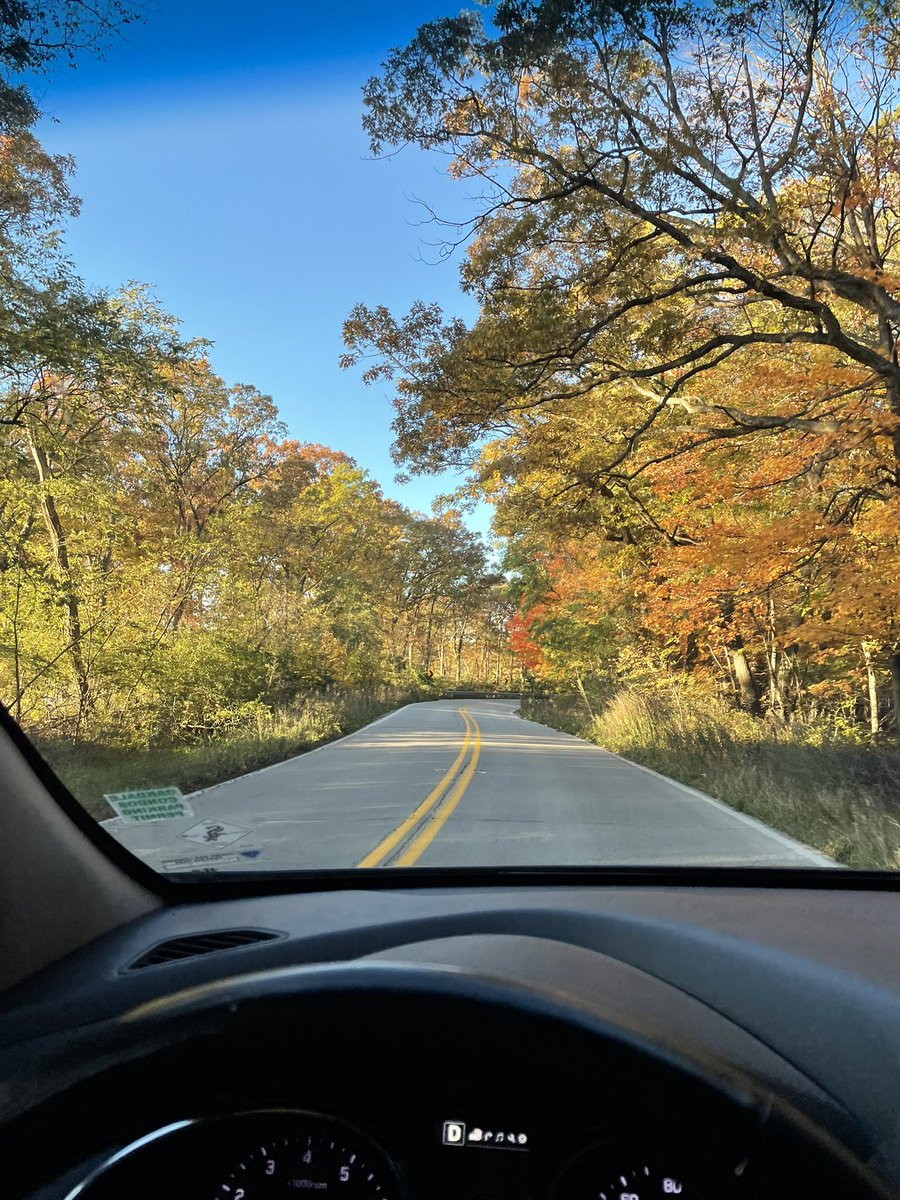 lavenadita_'s tweet photo. Been missing nature a lot lately, but my drive to work every day makes me feel like the main character and I love that for me. https://t.co/EQsX9yPmJJ