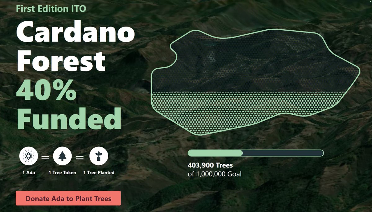 Cardano_CF's tweet image. Over 4⃣0⃣0⃣0⃣0⃣0⃣ trees funded for our #CardanoForest 🙌 🎉

Get your donation DOUBLED by @veritree_ during #cop26 - ending Nov 12. 

Let's save our planet ✌🌏

Donate 👉 bit.ly/3ifl1Wr