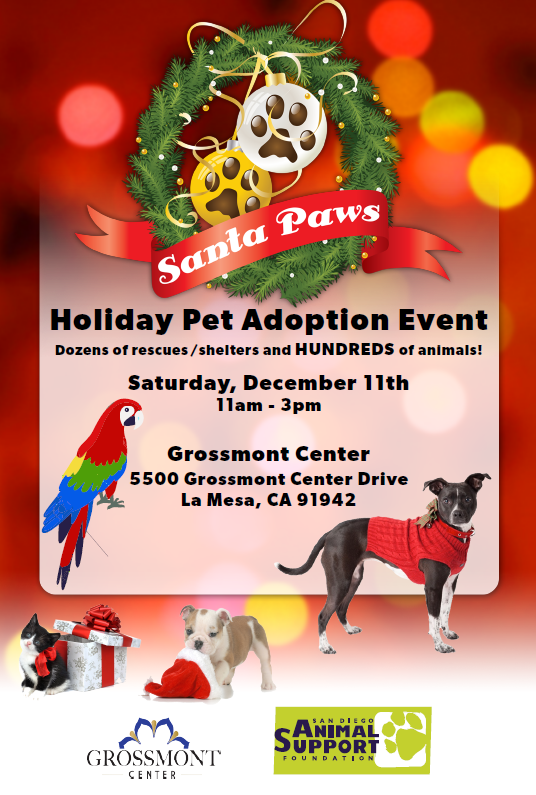 sdshelters's tweet photo. Spend your day helping Adorable Adoptables find their forever homes! 
We need adult volunteers on Saturday December 11th at 🎅🏻🐾Santa Paws MEGA Adoption Event🐾🎅🏻at Grossmont Center. Get on Santa's GOOD LIST by contacting our Volunteer Coordinator (naomi@sdshelters.org) https://t.co/UOa9bUmKPc