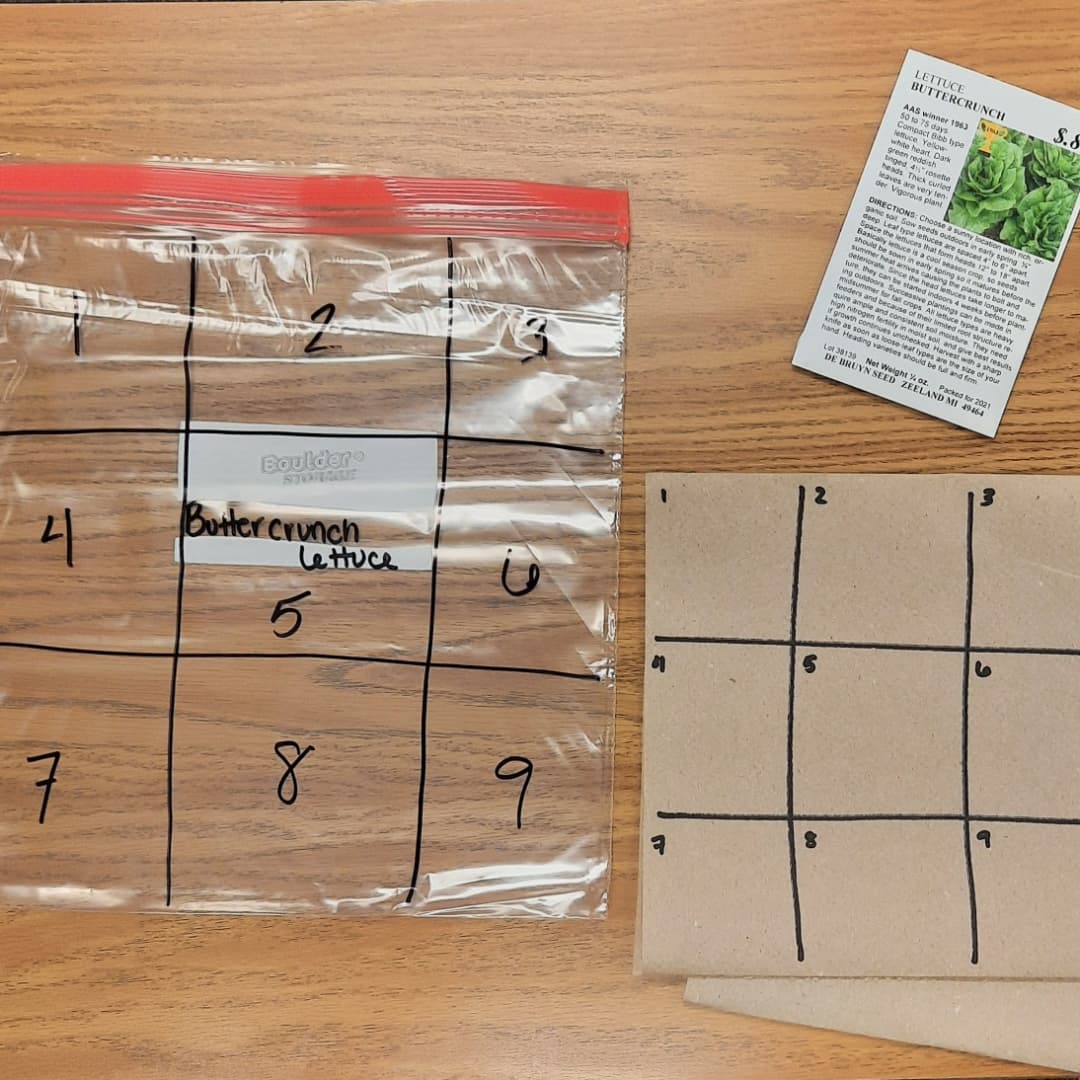 kroll_ela's tweet photo. Helping kids make connections between our novel study and the real world is a blast!! 

6th grade ELA's "Among the Hidden" discusses cultivation and hydroponics. With little connection, our students had a hard understanding the dedication of these characters as farmers. https://t.co/5o3AIcgjEf