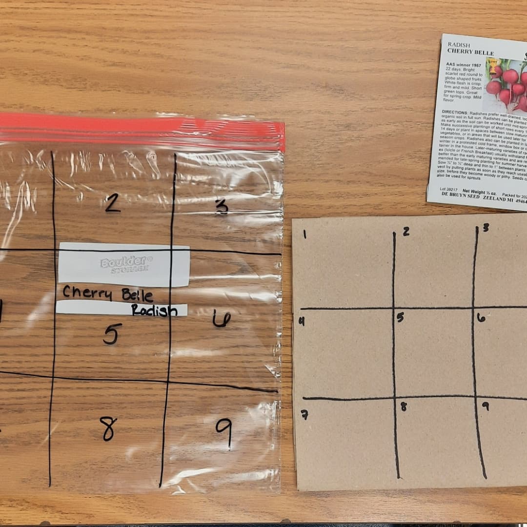 kroll_ela's tweet photo. Helping kids make connections between our novel study and the real world is a blast!! 

6th grade ELA's "Among the Hidden" discusses cultivation and hydroponics. With little connection, our students had a hard understanding the dedication of these characters as farmers. https://t.co/5o3AIcgjEf