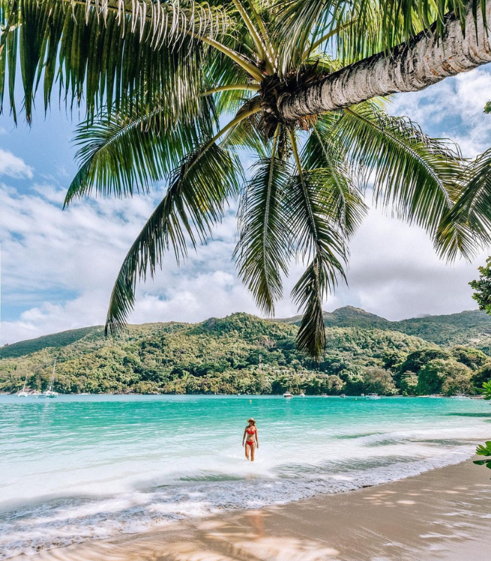 constancehotels's tweet photo. #ConstanceLemuria: 'The perfect hotel to relax &amp; enjoy the beautiful beaches'

#ConstanceEphelia: 'Adventurous with lots of activities such as zip-lining, kayaking and rock climbing'

🇸🇨 Discover more about @Izkiz &amp; @iamtravelr #TrueIndianOcean holiday

➡️ https://t.co/p4x7jk4vGe https://t.co/PWpxYZ3aiv