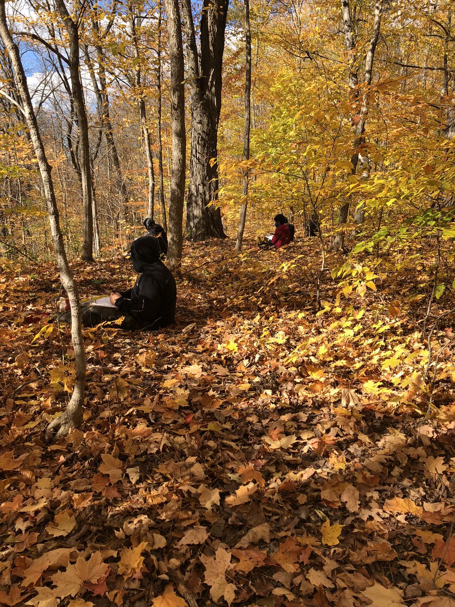 Great day to investigate the interactions in the forest. <a href="/LorenvillePS/">LorenvillePS</a> #fallcolours using our 5 senses to explore and document