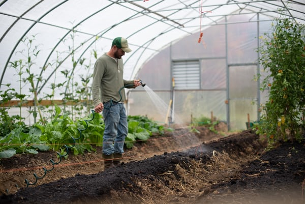 HillsideHS_CDC's tweet photo. @HillsideHS  Agriculture Science #CareerDev prepares students for careers in agriculture, food, fiber &amp; natural resource systems. 60+ agricultural companies are located in NC. Classes include horticulture, agricultural science, animal care, food/nutrition &amp; culinary. https://t.co/wLT9JJpeHf