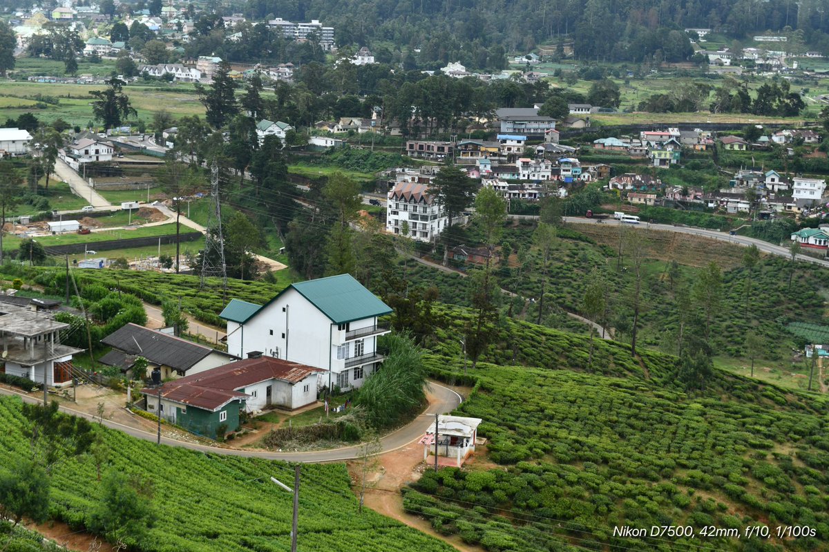 perera_praveen's tweet image. View from  Single tree temple #nuwaraeliya #singletree