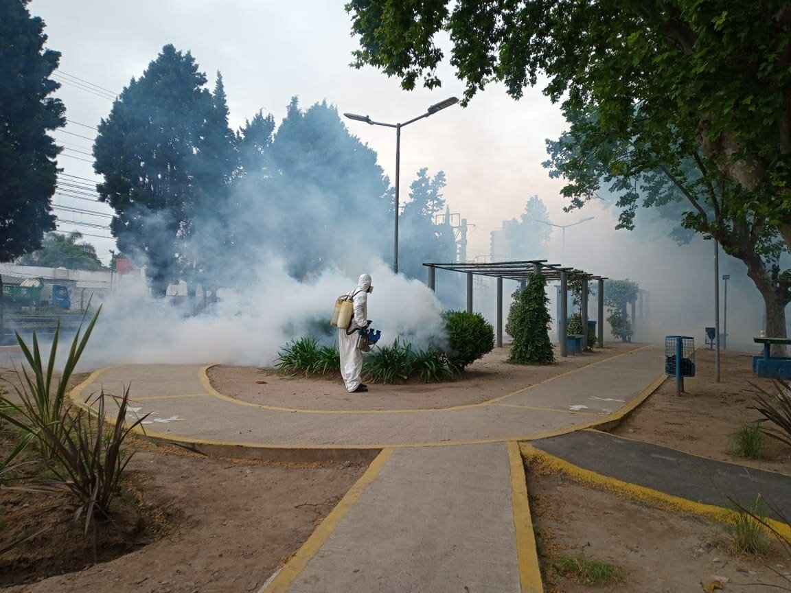 #SinMosquitoNoHayDengue 🦟🚫