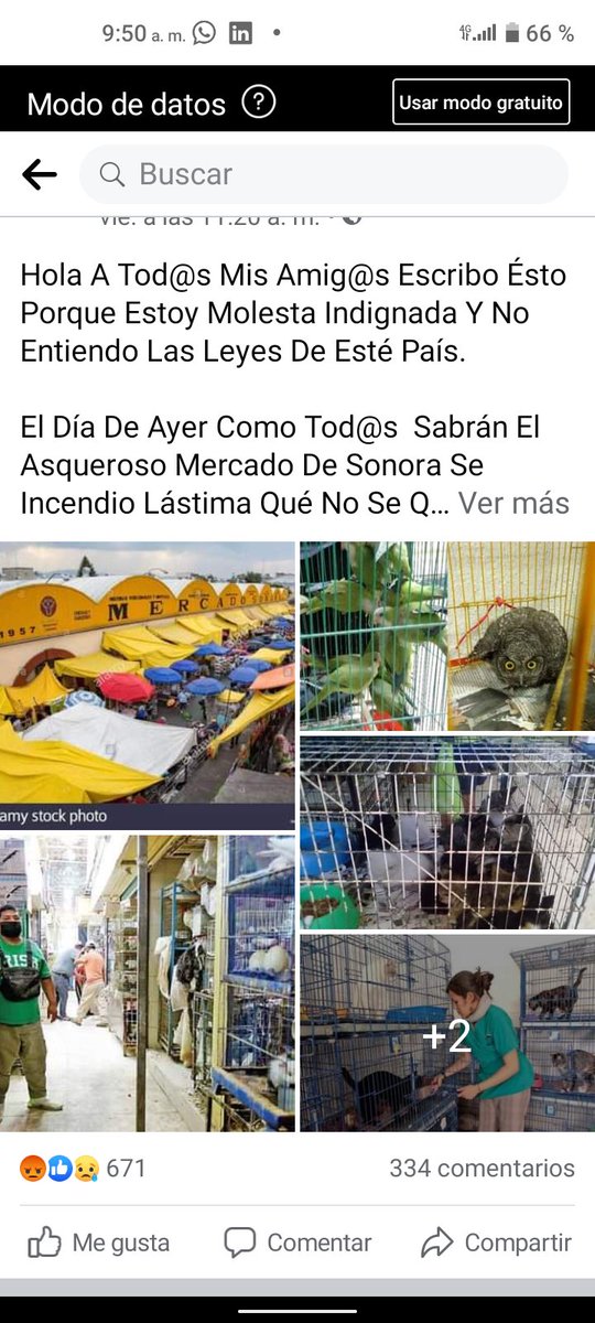 La venta, el maltrato extremo y explotación de animales en en el mercado de Sonora continua por la corrupción de los Alcaldes que ha tenido la Alcaldía Venustiano Carranza.
m.facebook.com/story.php?stor…
